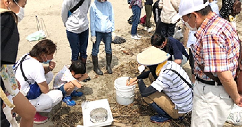 海岸でのマイクロプラスチック調査