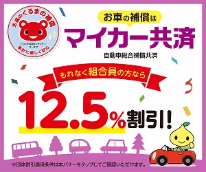 マイカー共済