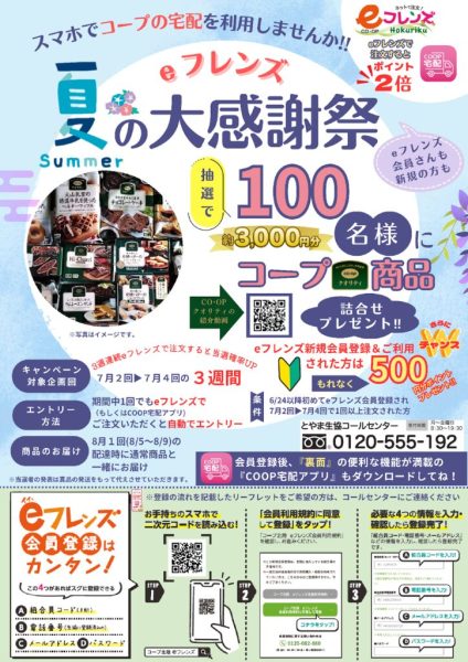 ｅフレンズ夏の大感謝祭_表_裏面_mergedのサムネイル